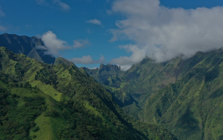 Mise en service de fermes solaires